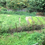 Photo n°5 de l'avis de Lorenzo.e fait le 28/07/2018 à 11:13 sur le  Ristorante Fuoco di Bosco à Lumarzo