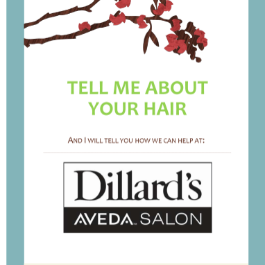 Beauty Salon «Aveda Salon and Spa Northeast Mall», reviews and photos, 1101 Melbourne Rd, Hurst, TX 76053, USA