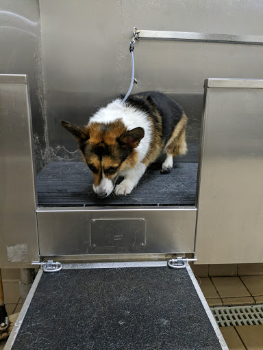 Pet Supply Store «Pet Supplies Plus», reviews and photos, 1012 W Hebron Pkwy #120, Carrollton, TX 75010, USA