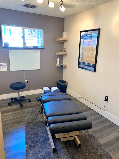 Tahoe Chiropractic Clinic image