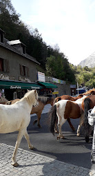Photo n°20 de Bar La Ruade à Gavarnie-Gèdre ()