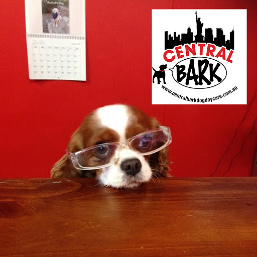 Central Bark Dog Daycare