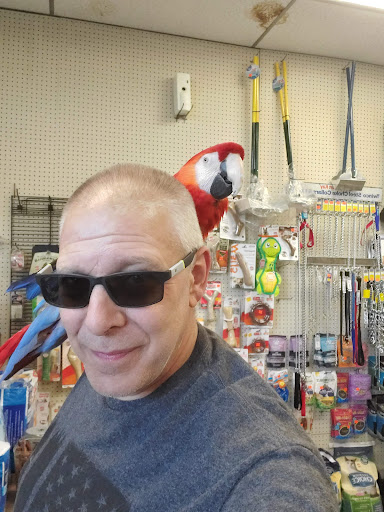 Pet Store «North East Discount Pet Center», reviews and photos, 49 Bridge St #5, Pelham, NH 03076, USA