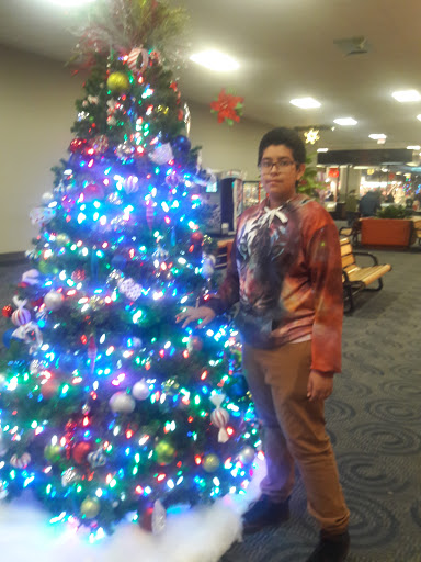 Shopping Mall «Mounds Mall», reviews and photos, 2109 S Scatterfield Rd, Anderson, IN 46016, USA