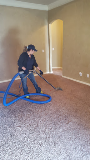 APEX Carpet and Upholstery Cleaning