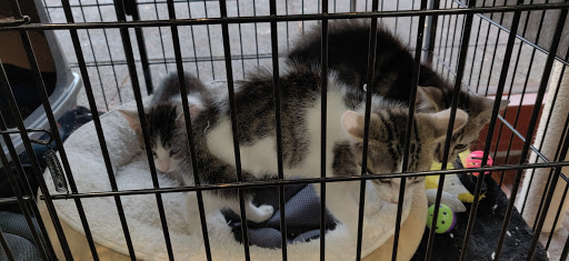 Pet Supply Store «Pet Valu», reviews and photos, 2738 Sidney St, Pittsburgh, PA 15203, USA