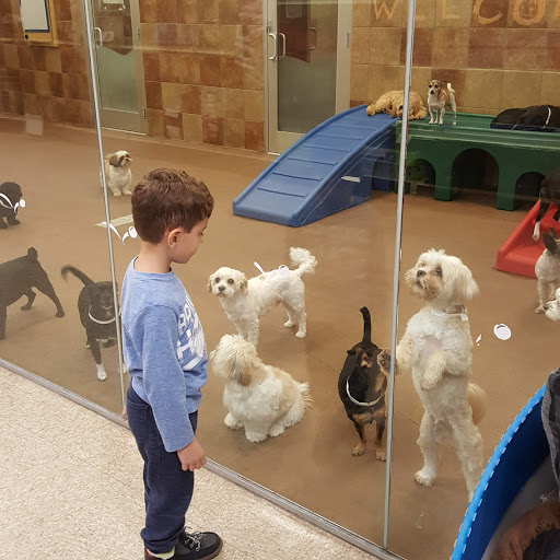 Pet Supply Store «PetSmart», reviews and photos, 114 Commerce Way, Woburn, MA 01801, USA