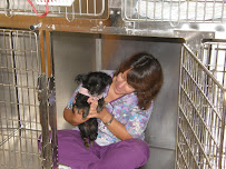 Walbert Animal Hospital - Photo 5 - Car repair in Allentown, PA, Allentown