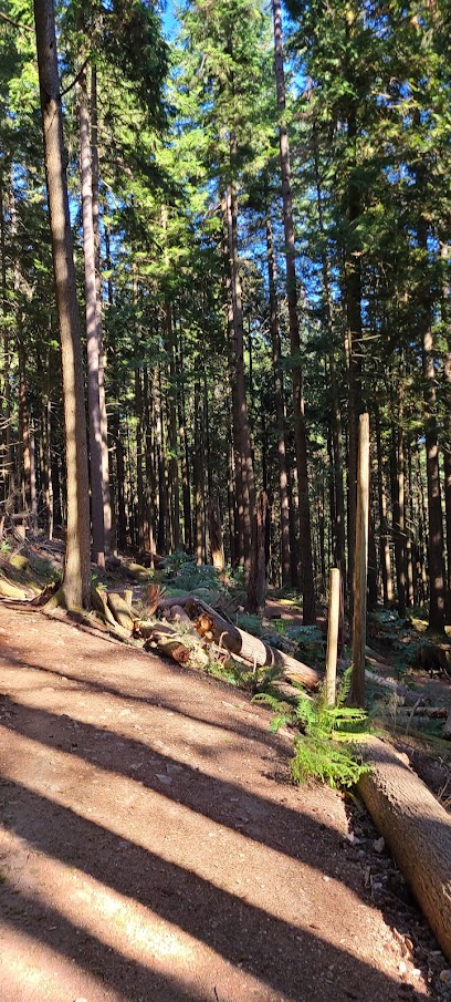 The Westwood Plateau Hiking Trail