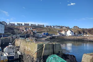 St Abbs Harbour image