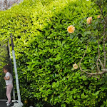 Photo n° 1 de l'avis de Famille.I fait le 28/05/2024 à 10:43 pour Aj Private Chef à Houilles