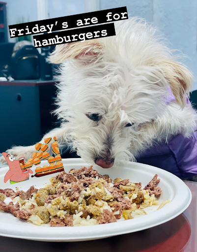 Insurance Agency «Farmers Insurance - Natalie Mercado», reviews and photos