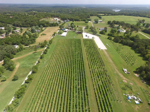 Winery «LaChance Vineyards», reviews and photos, 12237 Peter Moore Ln, De Soto, MO 63020, USA