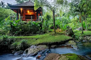 Bali Eco Stay image