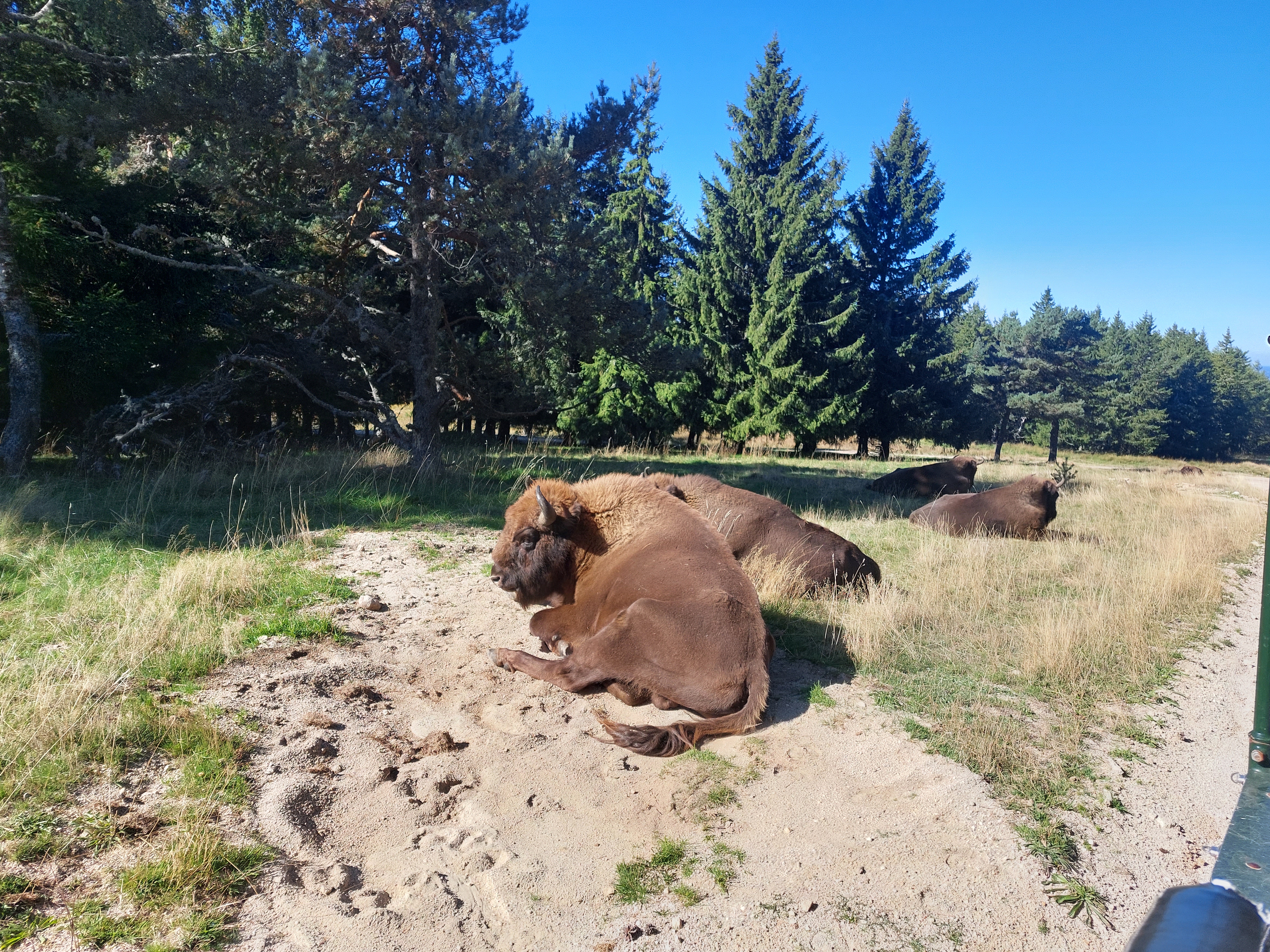 Photo n° 1 de l'avis de sophie.a fait le 20/09/2022 à 14:57
