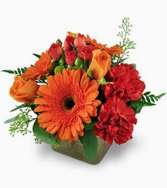 Florist «Avenue Flowers & Gifts», reviews and photos, 166 Elmora Ave, Elizabeth, NJ 07202, USA