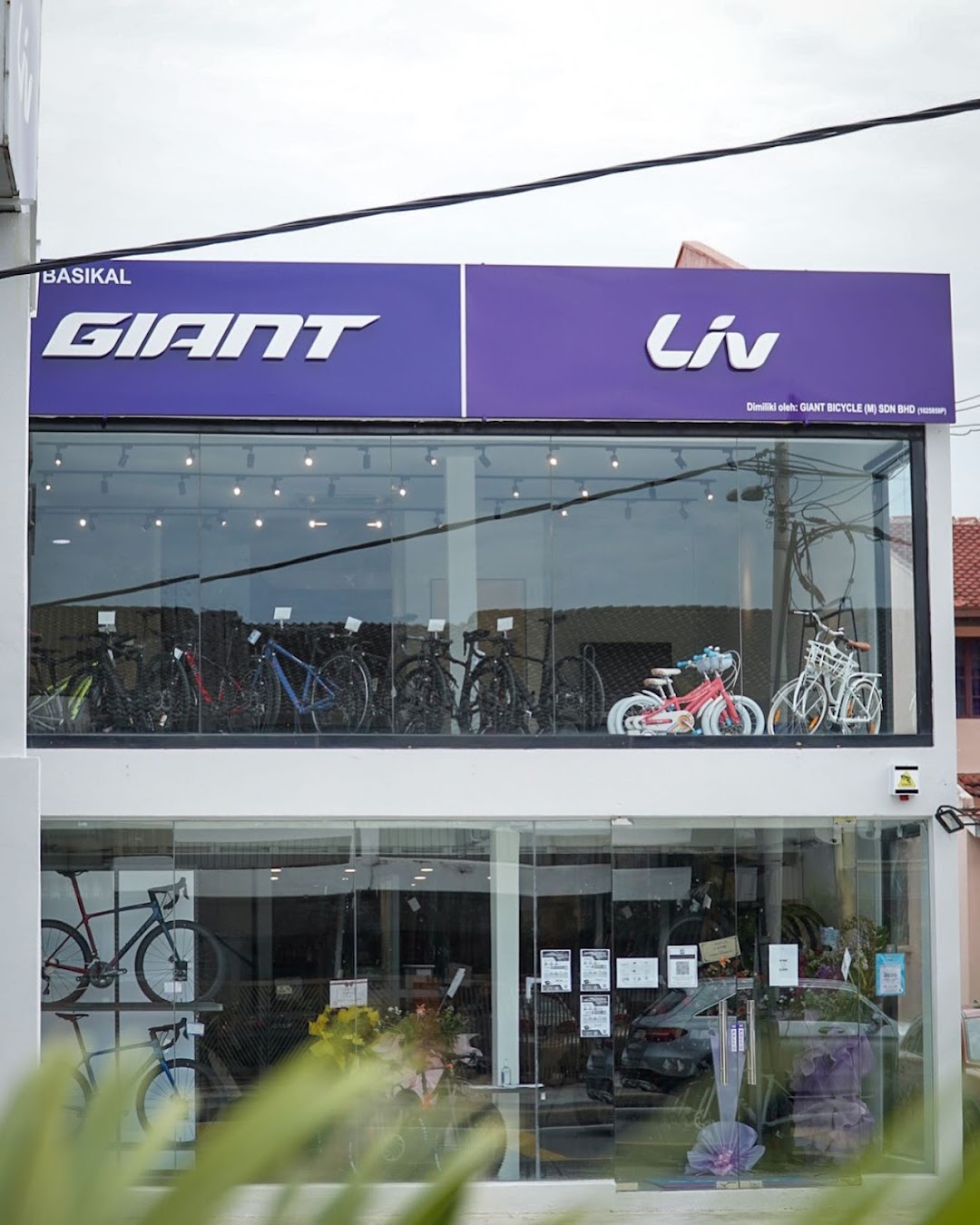 Giant SS2