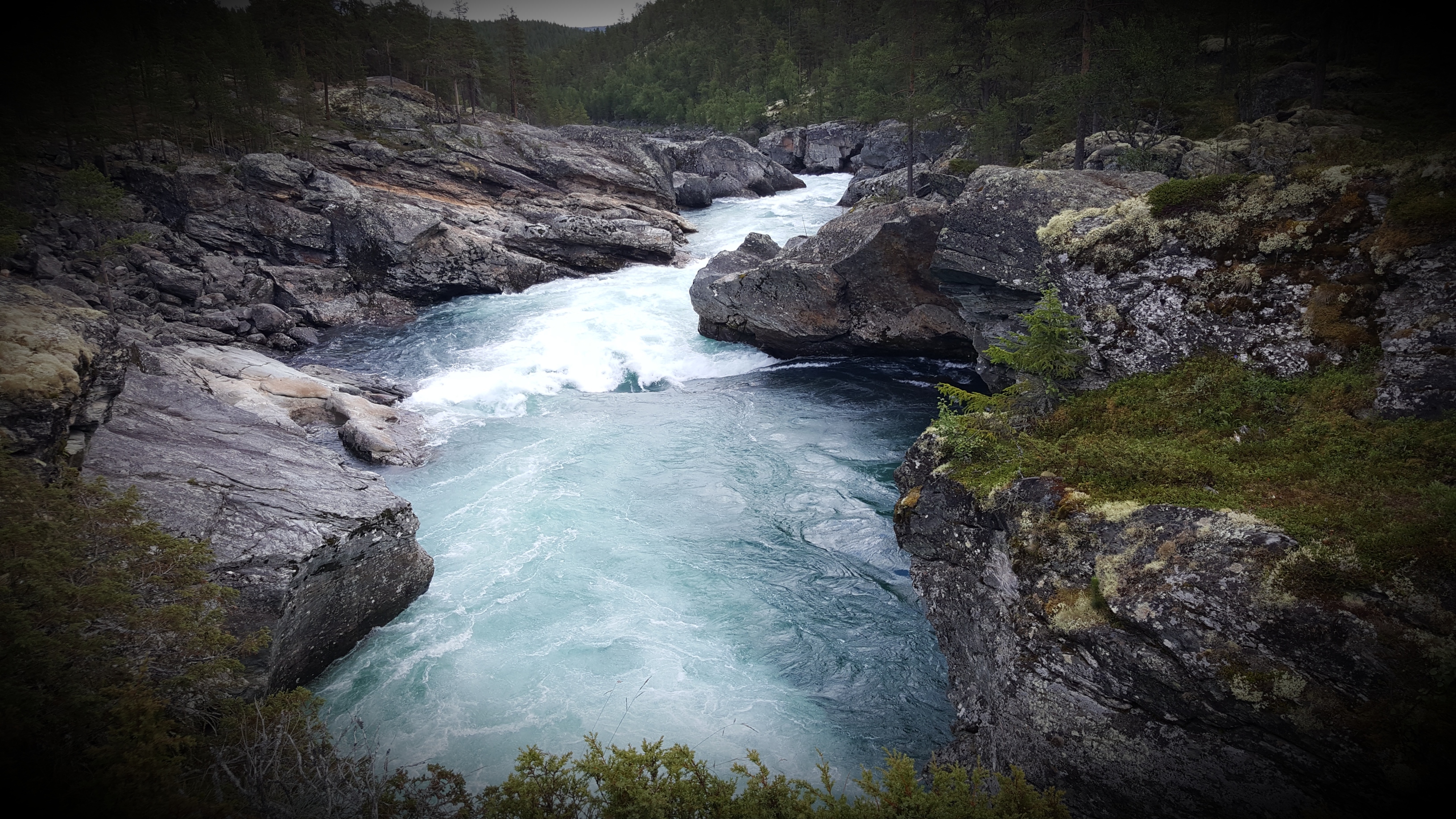 Photo n° 3 de l'avis de clémence.e fait le 23/09/2016 à 16:56
