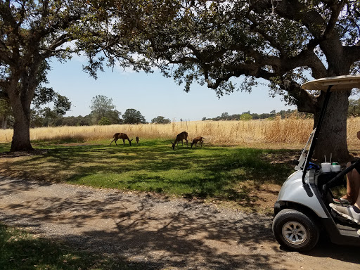 Public Golf Course «Bidwell Park Golf Course», reviews and photos, Golf Course Rd, Chico, CA 95973, USA