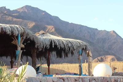 Photos of Dayra Camp