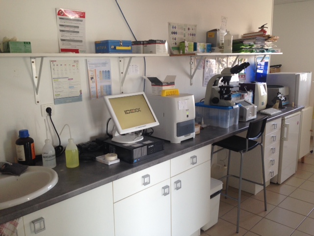 Avis sur Clinique Vétérinaire ARGOVET à Grenoble - Vétérinaire