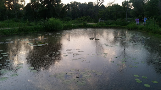 National Park «Kenilworth Park», reviews and photos, 1505 Ancostia Ave NE, Washington, DC 20019, USA