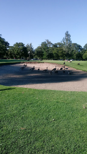 Golf Club «Marquette Park Golf Course», reviews and photos, 6700 S Kedzie Ave, Chicago, IL 60629, USA