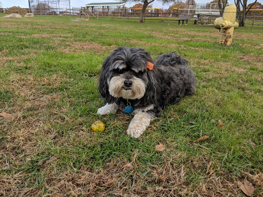 Dog Park «South Kingstown Dog Park», reviews and photos, 55 St Dominic Rd, South Kingstown, RI 02879, USA