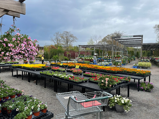 Florist «Bayport Flower Houses, Inc.», reviews and photos, 940 Montauk Hwy, Bayport, NY 11705, USA