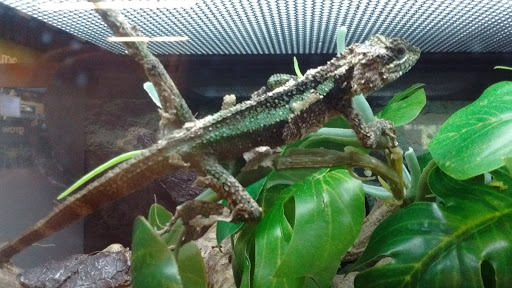 Pet Supply Store «Petco Animal Supplies», reviews and photos, 816 Washington St, Middletown, CT 06457, USA