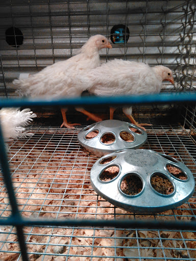 Hardware Store «Buchheit Of Herculaneum», reviews and photos, 200 Riverview Plaza Dr, Herculaneum, MO 63048, USA