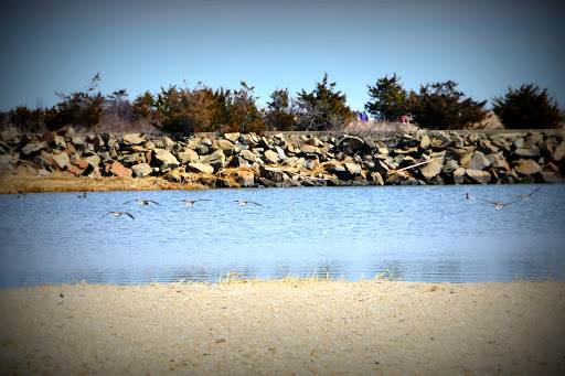 National Park «Gateway National Recreation Area», reviews and photos, 26 Hudson Rd, Highlands, NJ 07732, USA