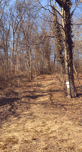 Nature Preserve «Shiprock Woods Nature Preserve», reviews and photos, 2626 Shiprock Rd, Willow Street, PA 17584, USA