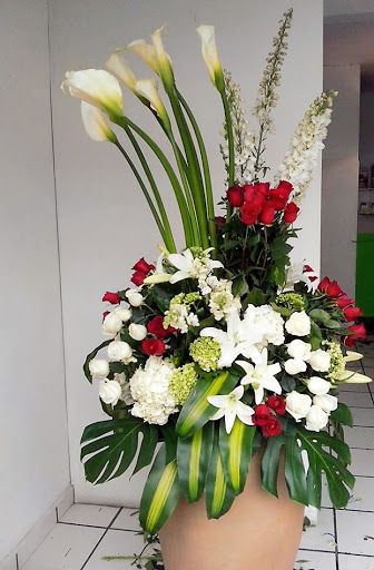 Floreria Golden – Cuautla