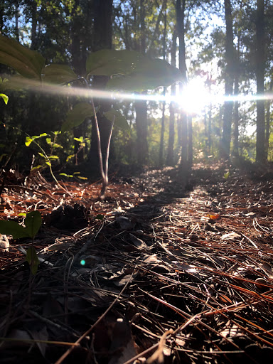 Park «Crestview Park», reviews and photos, 1600 Roland Dr, Mobile, AL 36693, USA