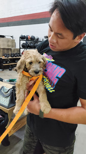 Gym «Cigar City CrossFit», reviews and photos, 1703 N 24th St, Tampa, FL 33605, USA