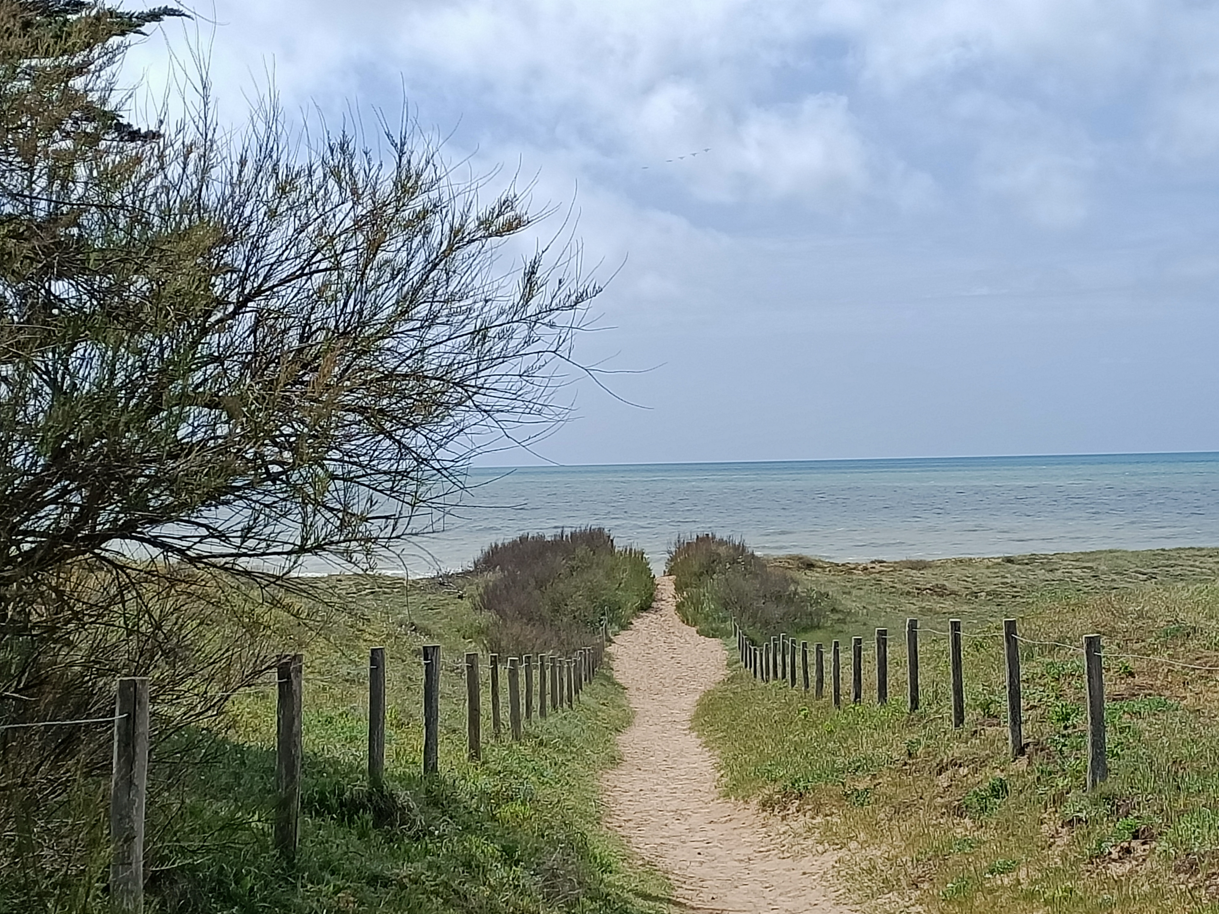 Photo n° 7 de l'avis de Mélanie.� fait le 05/05/2023 à 16:34