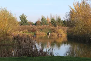 Swanlands Lakes fishing image