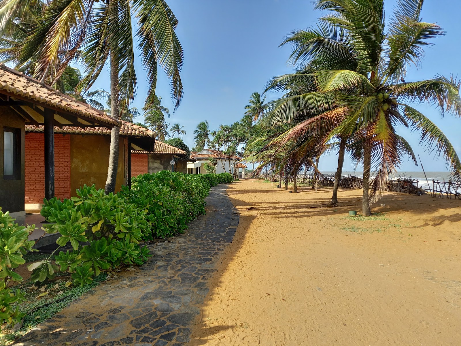 Dolphin hotel beach photo #8