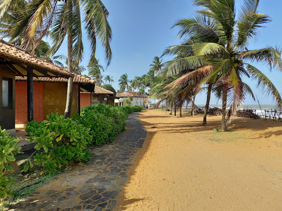 Dolphin hotel beach