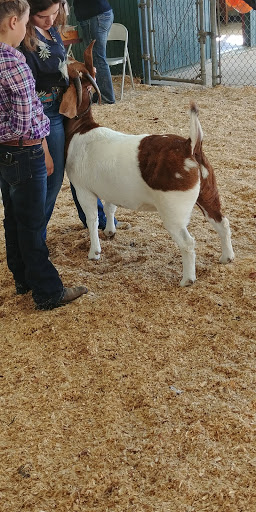 Association or Organization «Mendocino County Fair and Apple Show», reviews and photos