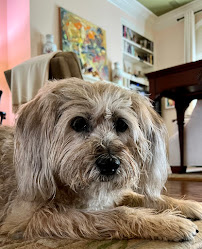 Furkid Sitting & Services, LLC - Photo 4 - Car repair in , Baton Rouge