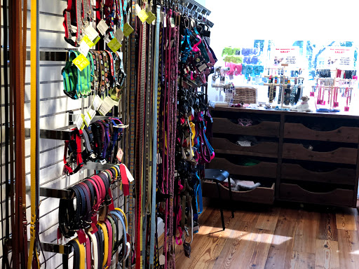 Pet Supply Store «Diggidy Dog», reviews and photos, Ocean Ave & Monte Verde St, Carmel-By-The-Sea, CA 93923, USA