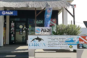 Orca Diving Center image