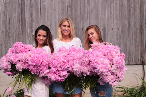 Florist «JP Parker Flowers Indianapolis», reviews and photos, 801 S Meridian St, Indianapolis, IN 46225, USA