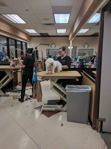 Pet Supply Store «PetSmart», reviews and photos, 2017 N Prospect Ave, Champaign, IL 61822, USA