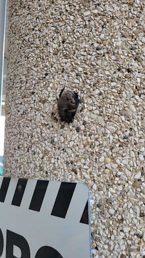 Home Improvement Store «The Home Depot», reviews and photos, 15101 Flagstaff Ave, Apple Valley, MN 55124, USA