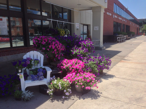 Grocery Store «Star Market», reviews and photos, 45 William T Morrissey Blvd, Dorchester, MA 02125, USA