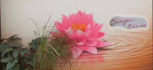 Clínica Veterinaria Poveda en Roquetas de Mar