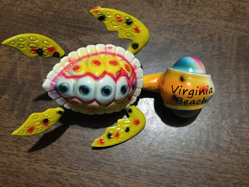 Outdoor Sports Store «Kitty Hawk Kites», reviews and photos, 324 Laskin Rd, Virginia Beach, VA 23451, USA